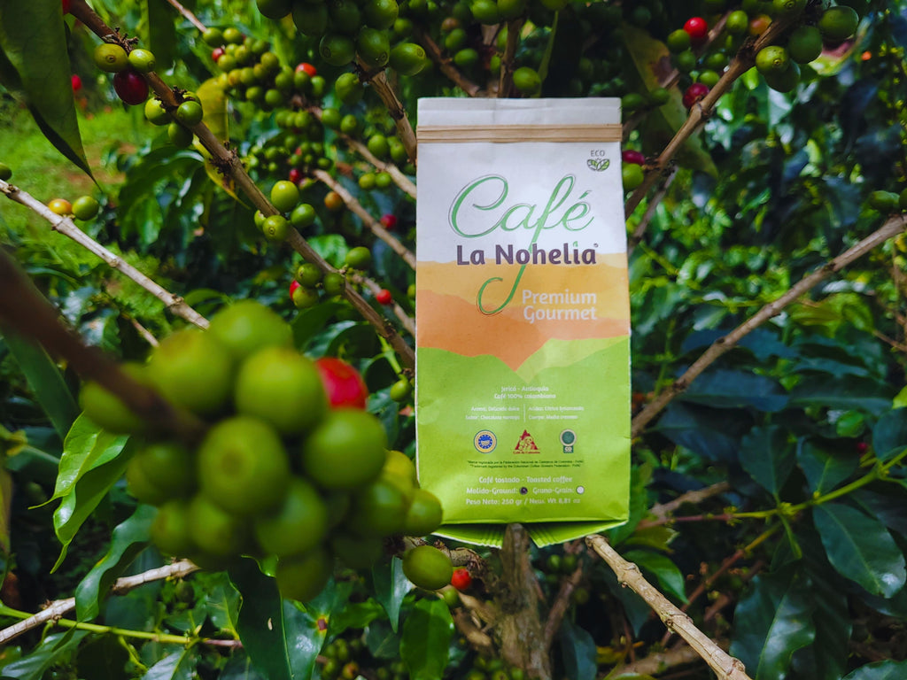 Café Natural Edición Limitada La Nohelia | 3 x 125 g