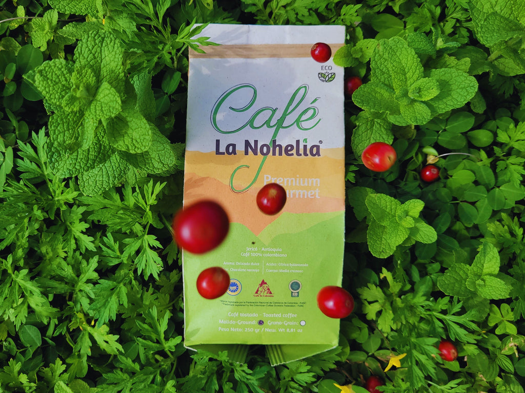 Café Honey Edición Limitada La Nohelia | 3 x 125 g