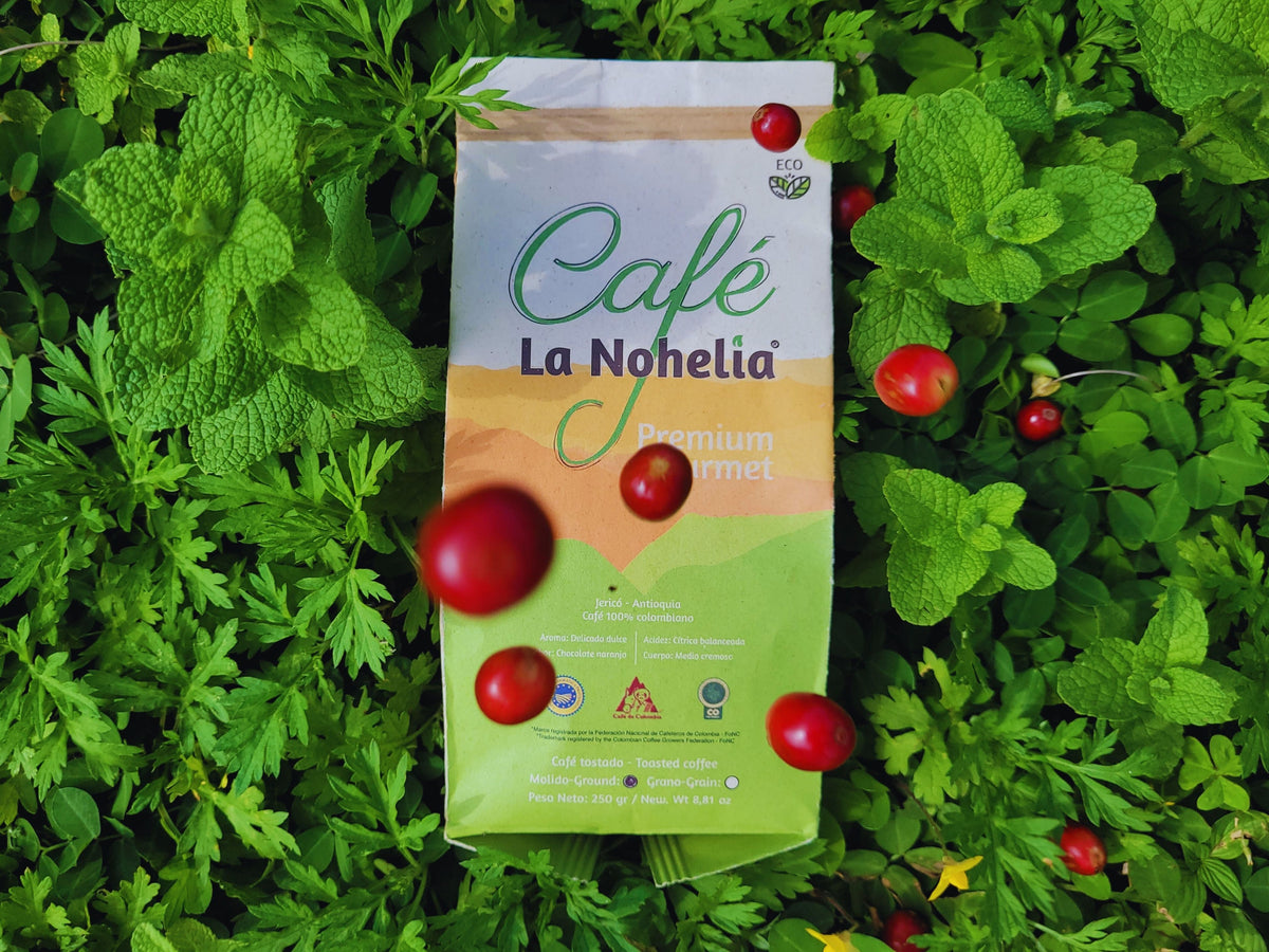Café Natural Edición Limitada La Nohelia | 3 x 125 g