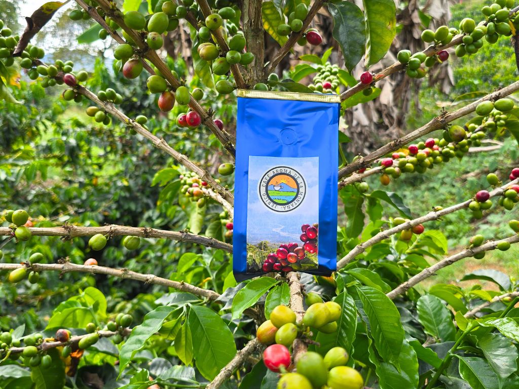 Café Aroma de la Montaña | 3 x 250 g