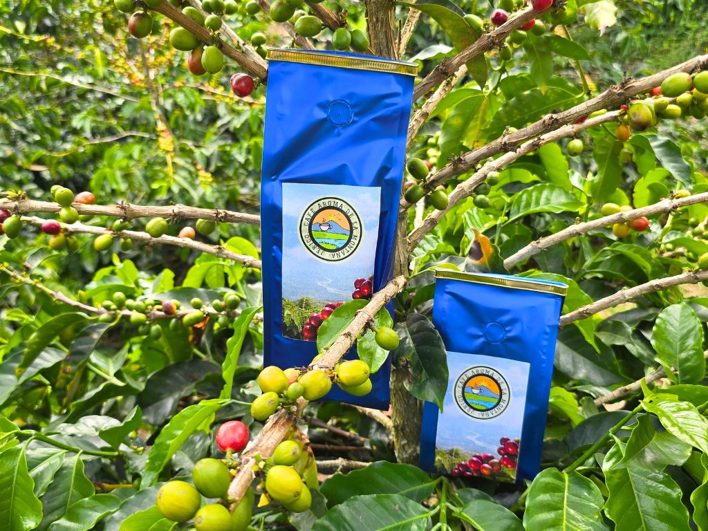 Pack Aroma de la Montaña | 750 g