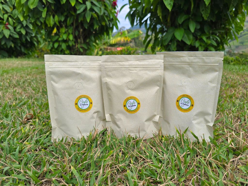 Café Honey Edición Limitada La Nohelia | 3 x 125 g