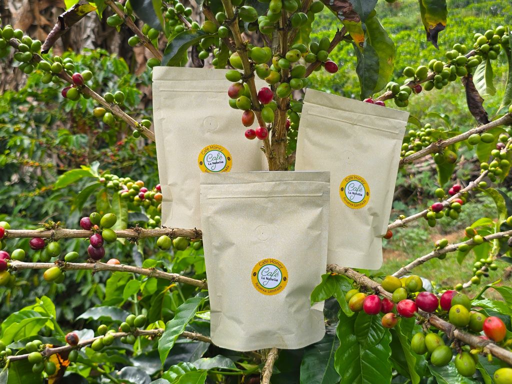 Café Honey Edición Limitada La Nohelia | 3 x 125 g