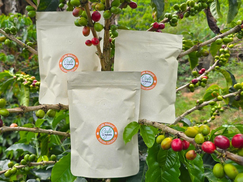 Café Natural Edición Limitada La Nohelia | 3 x 125 g